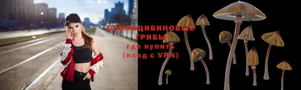 индика Балахна