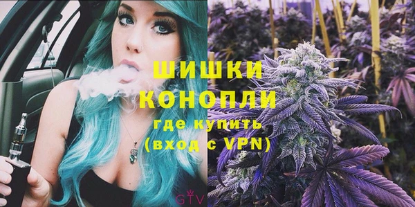 гашик Белокуриха