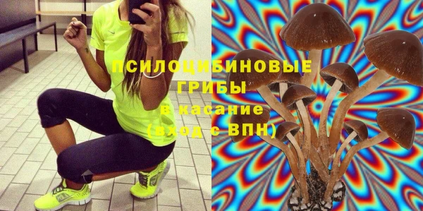 мескалин Пролетарск